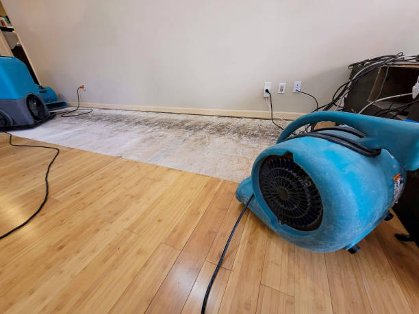 Professional Water Extraction technician working in Perth Amboy, NJ